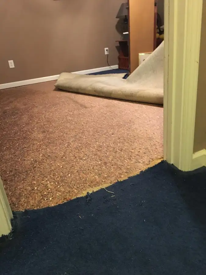 Carpet pad removal revealing water damage during Water Mitigation Services in Waverly