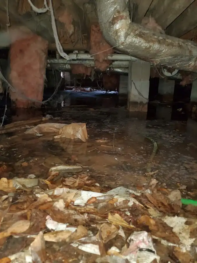 Crawl space flood assessment for Commercial Water Damage Restoration in Waverly